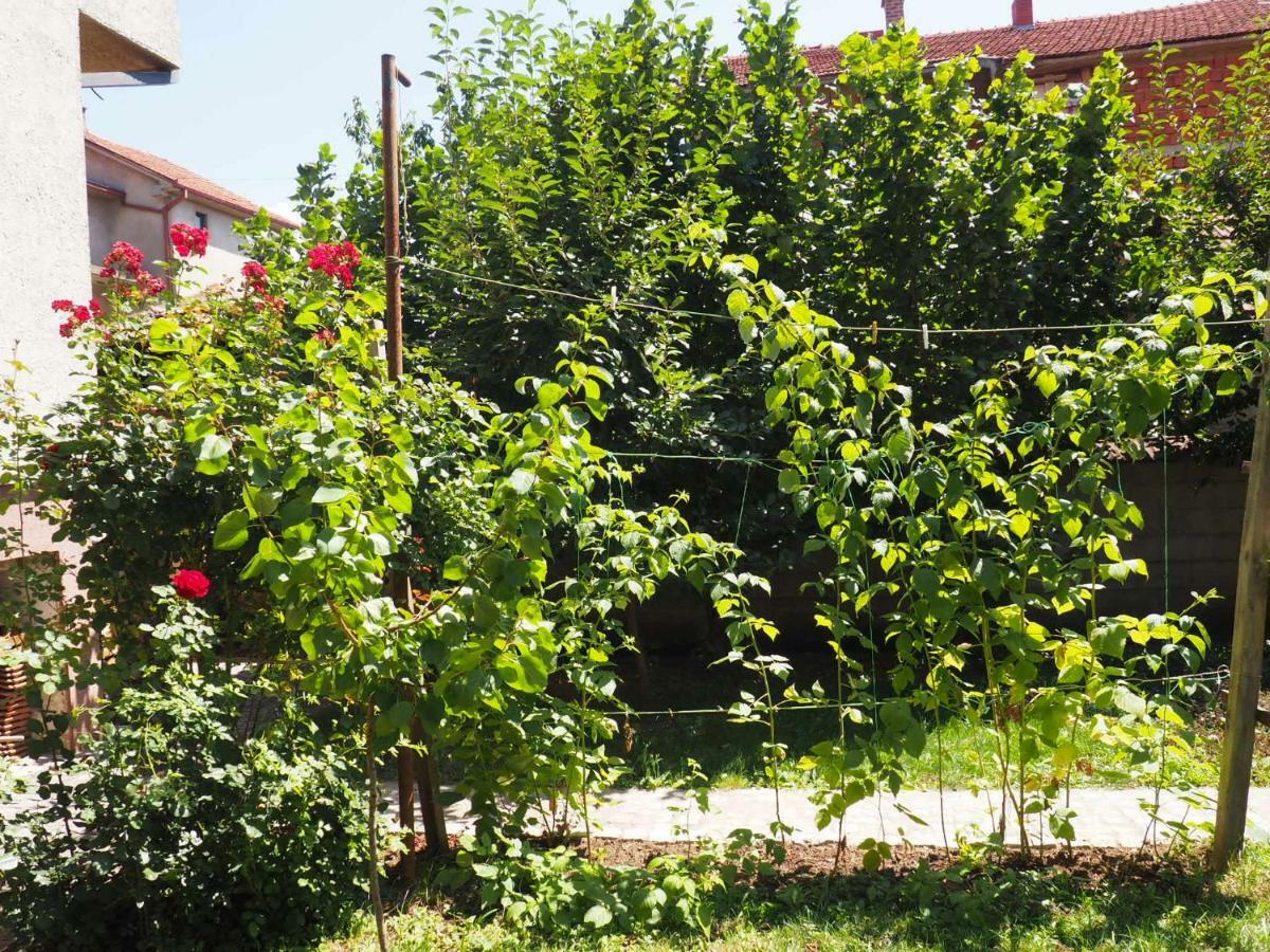 Guest House Stefanovic Vranje Esterno foto